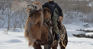 Russian Camel Ride